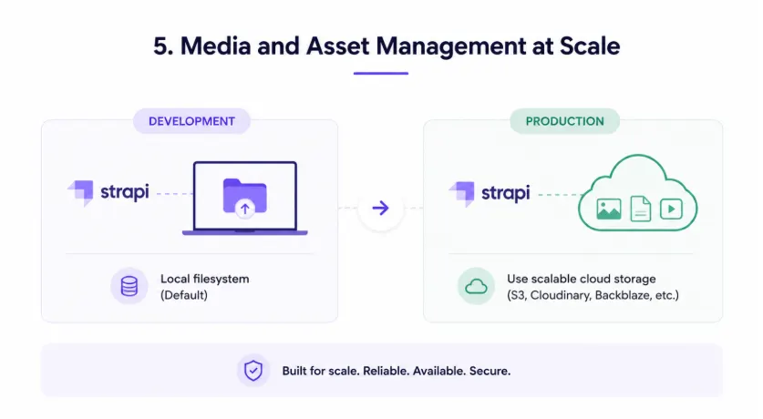 media_and_asset_management.webp